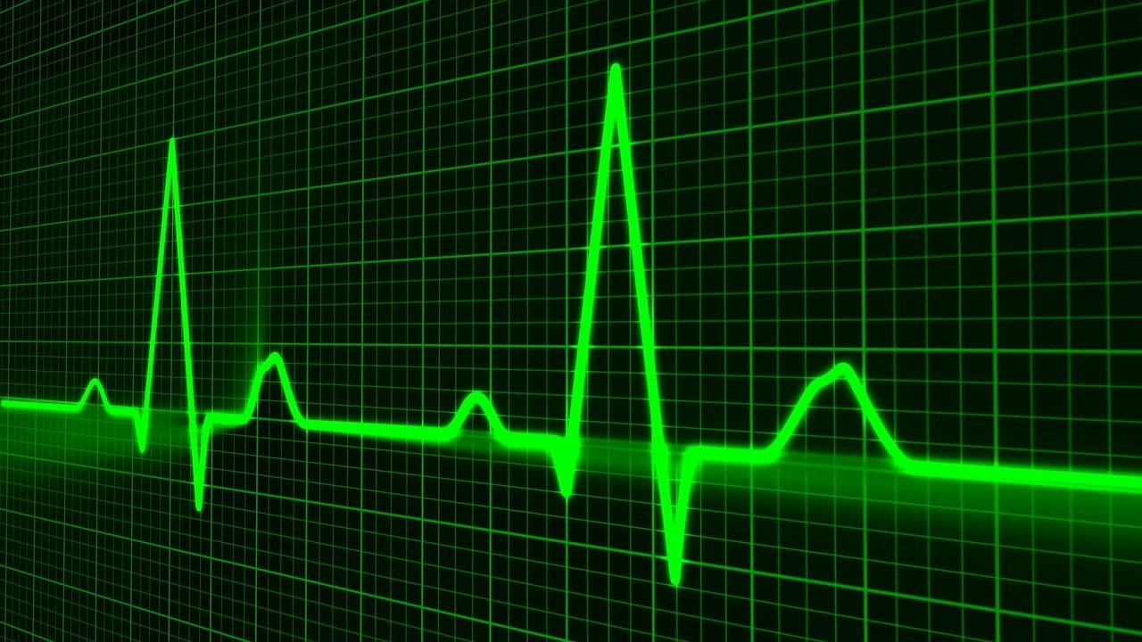 heartbeat photo