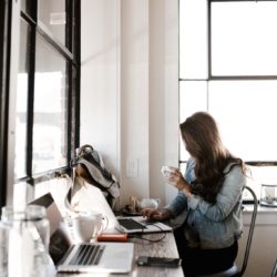 Blog Schedule Photo by Andrew Neel on Unsplash