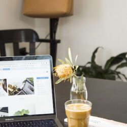 white label digital marketing
