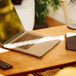 SEO-rich blog content creation for mid-sized companies